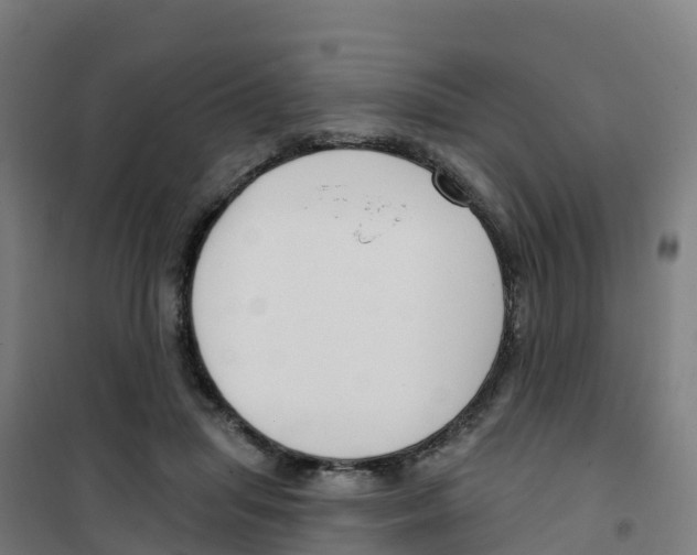 X0000100360455200807031842