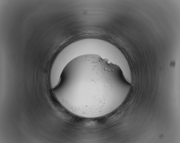 X0000100360456200807031842