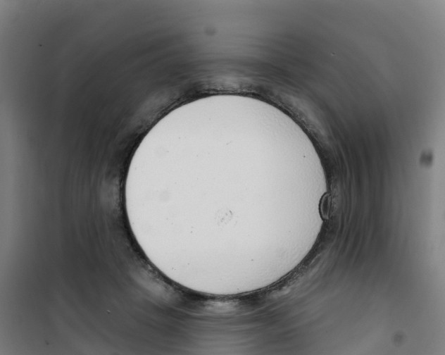 X0000100360457200807031842
