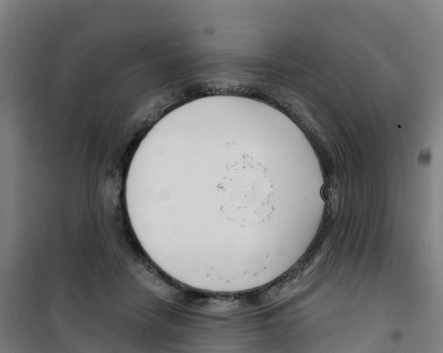 X0000100360458200807031842