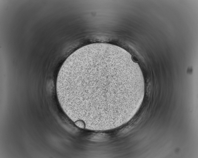 X0000100360459200807031842