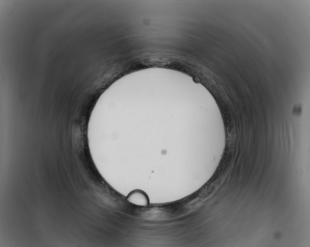 X0000100360460200807031842