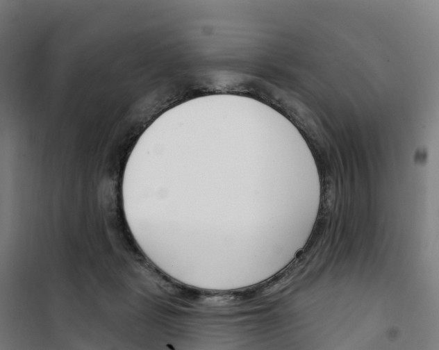 X0000100360461200807031842