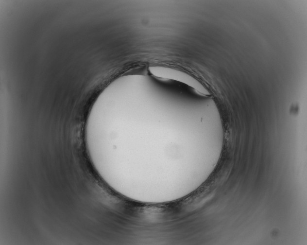 X0000100360462200807031842