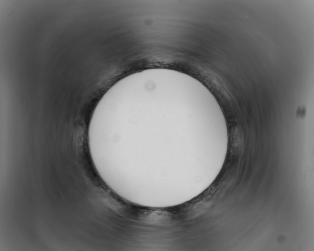 X0000100360463200807031842
