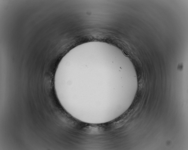 X0000100360464200807031842