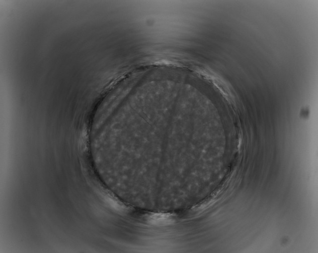 X0000100360465200807031842
