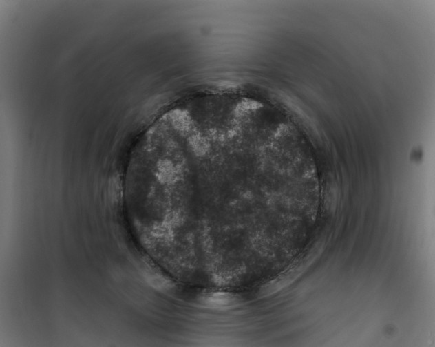 X0000100360467200807031842