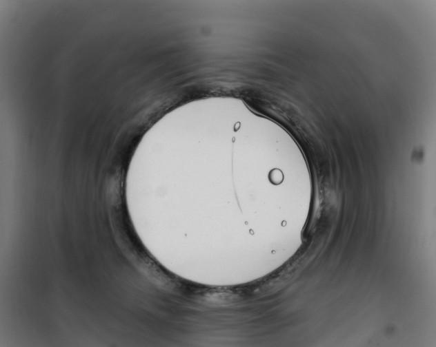 X0000100360468200807031842