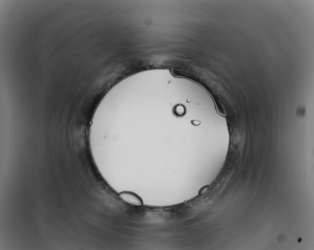 X0000100360470200807031842