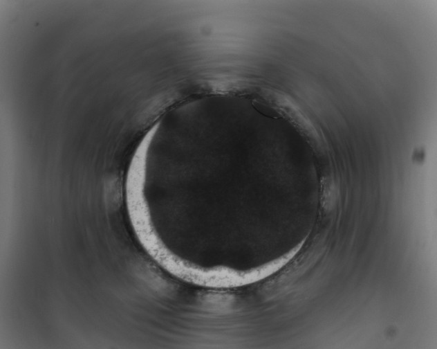 X0000100360471200807031842