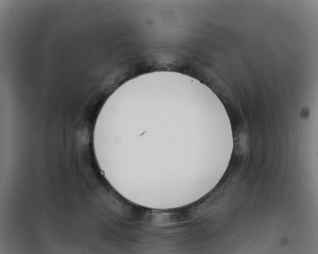 X0000100360472200807031842