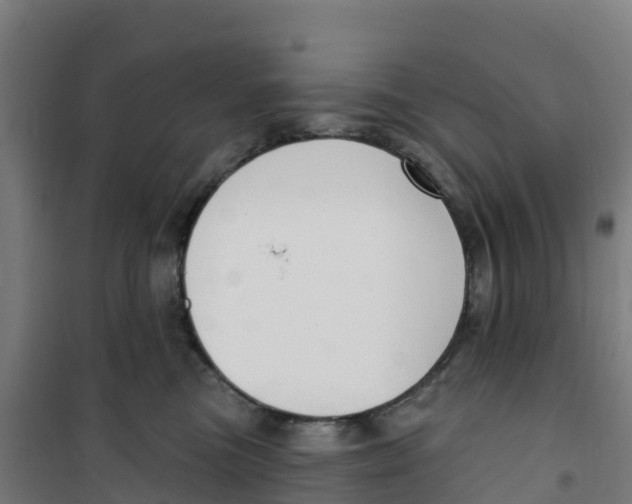 X0000100360473200807031842