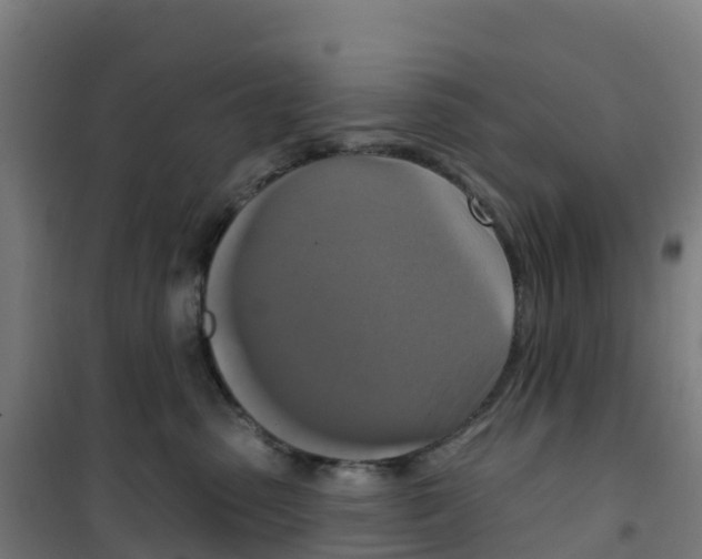 X0000100360475200807031842