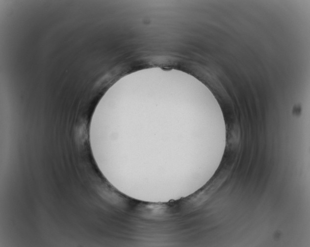 X0000100360478200807031842