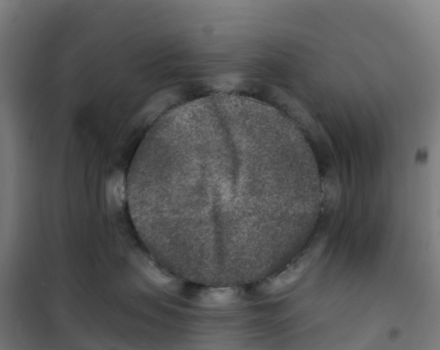 X0000100360479200807031842