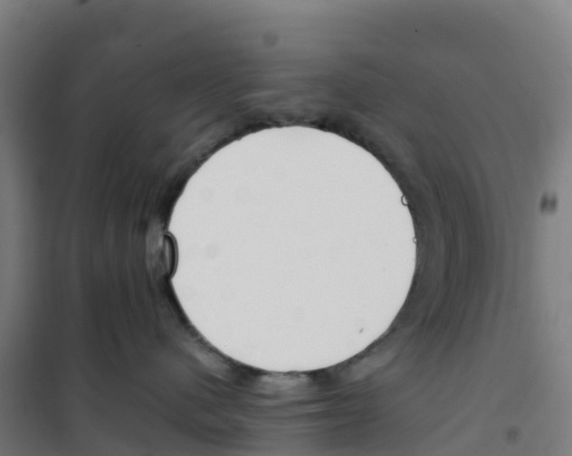X0000100360480200807031842