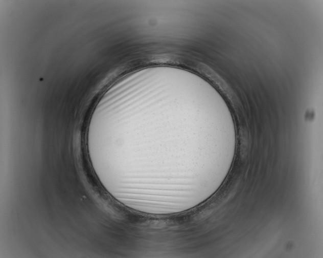 X0000100360482200807031841