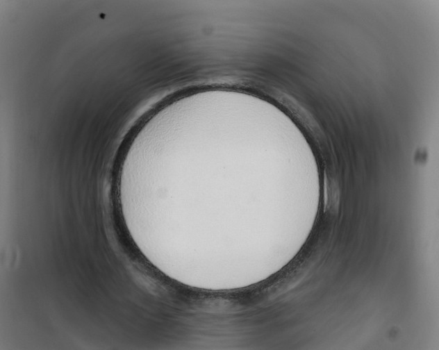 X0000100360483200807031841