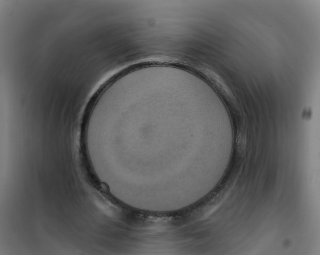 X0000100360484200807031841