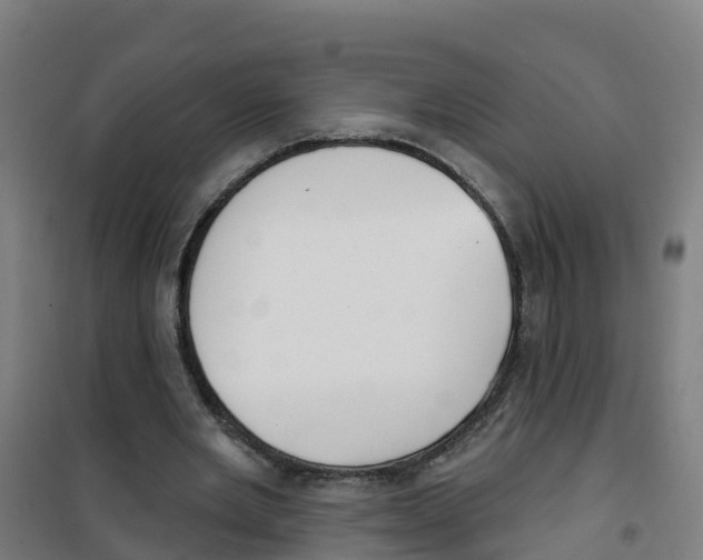 X0000100360485200807031841