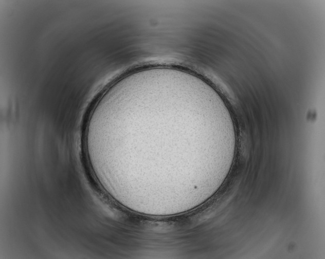X0000100360486200807031841