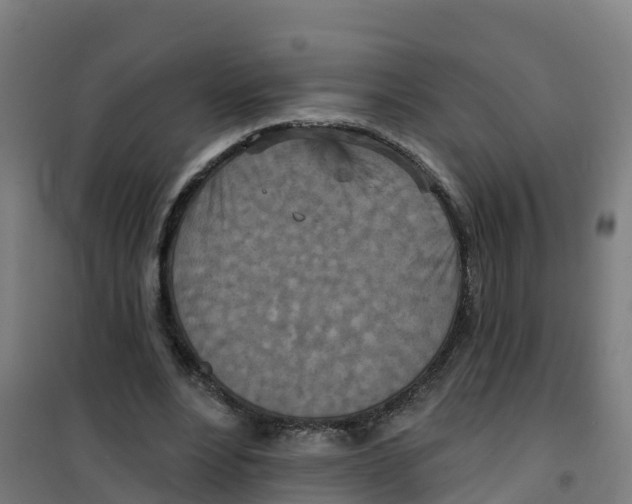 X0000100360488200807031841