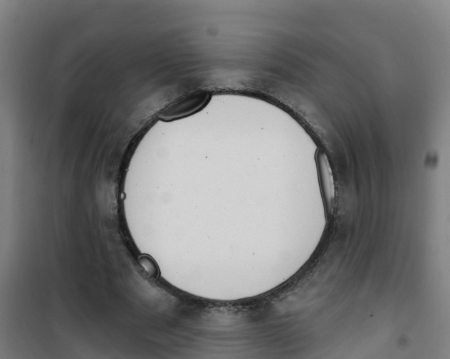 X0000100360489200807031841