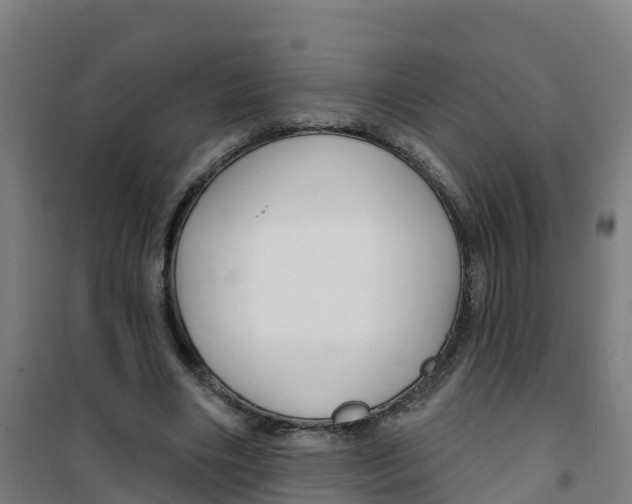 X0000100360490200807031841