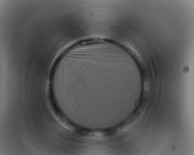 X0000100360492200807031841