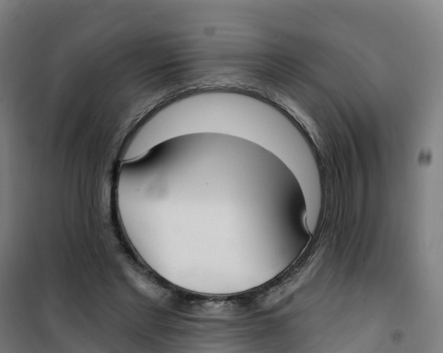 X0000100360493200807031841