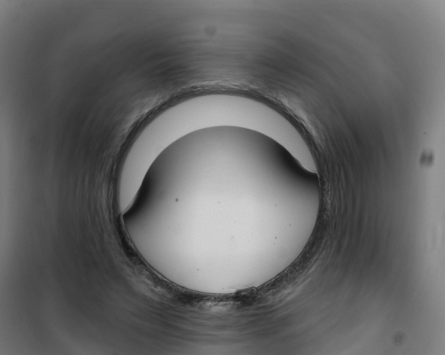 X0000100360495200807031841