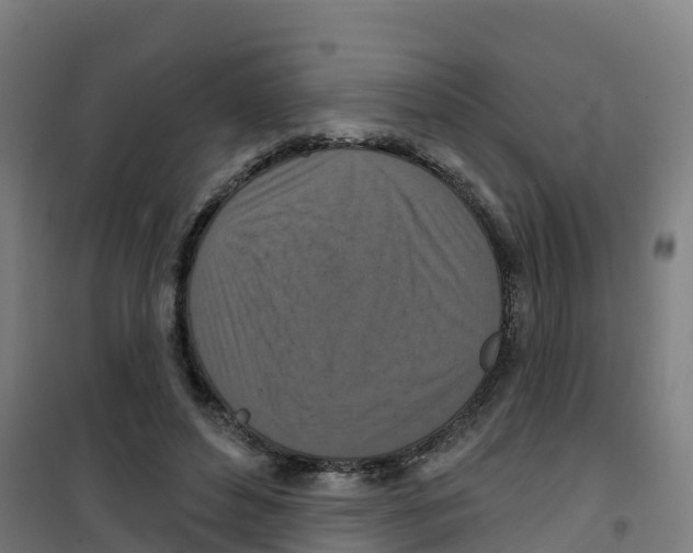 X0000100360496200807031841