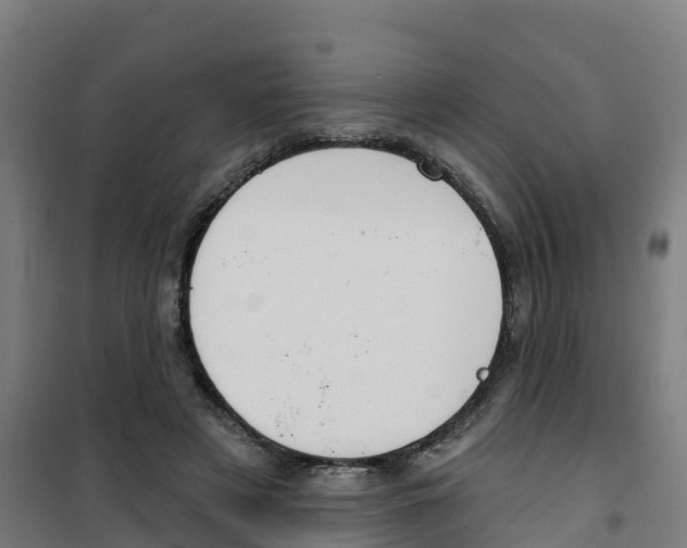 X0000100360497200807031841