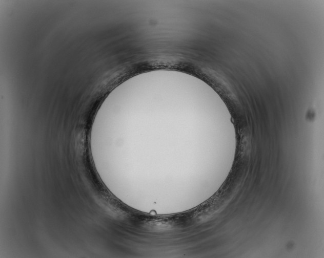 X0000100360498200807031841