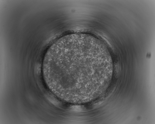 X0000100360499200807031841