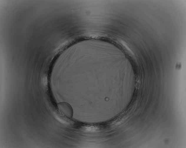 X0000100360500200807031841