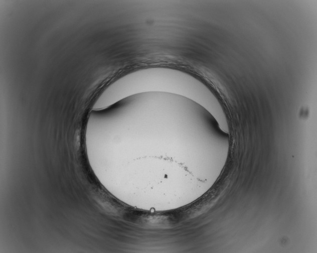 X0000100360501200807031841