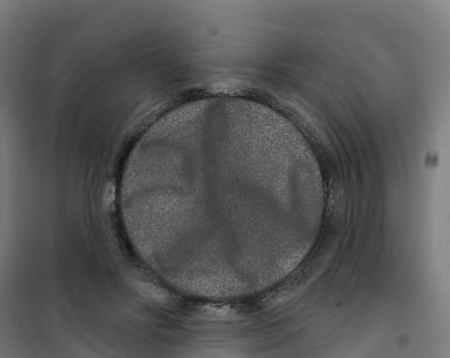 X0000100360502200807031841