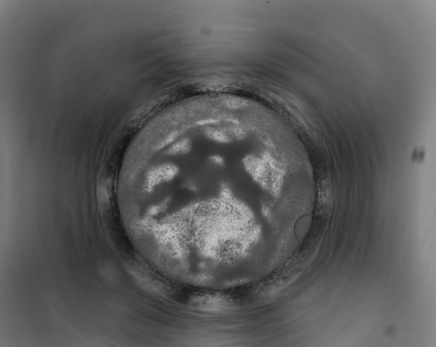 X0000100360503200807031841