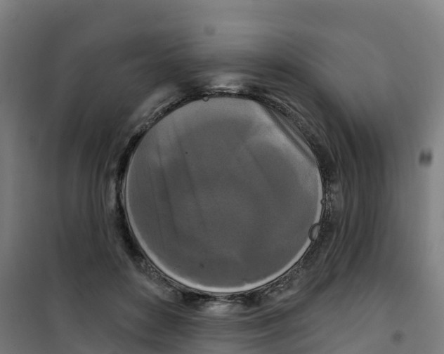 X0000100360504200807031841