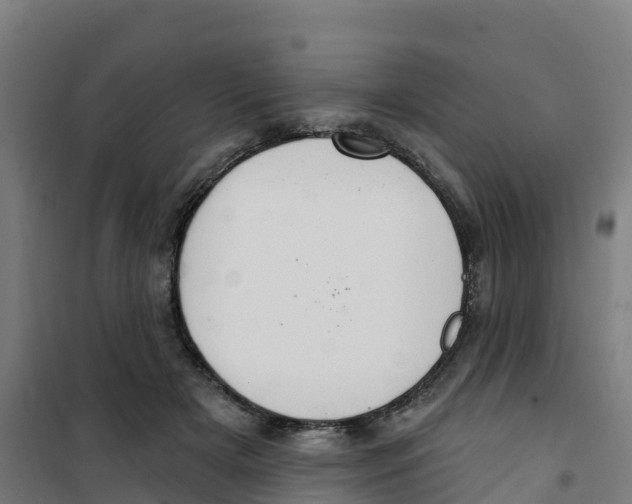 X0000100360505200807031841