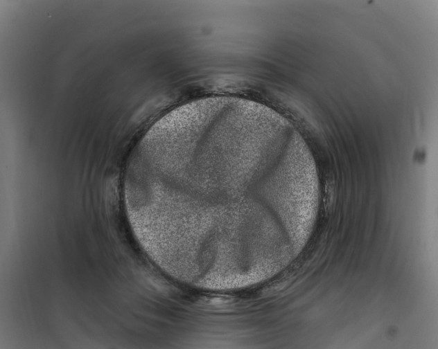 X0000100360506200807031841