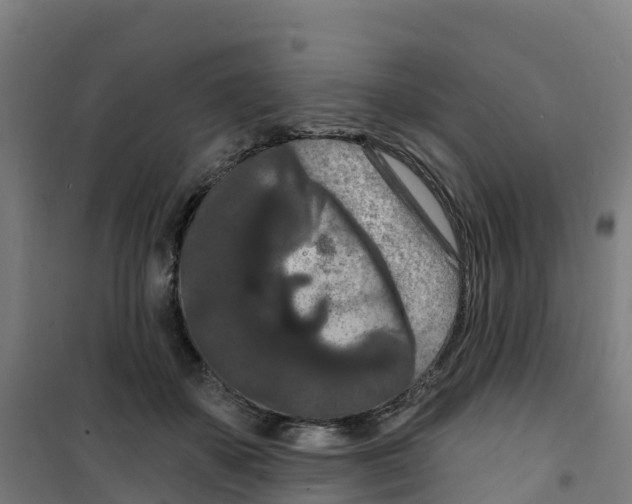 X0000100360507200807031841