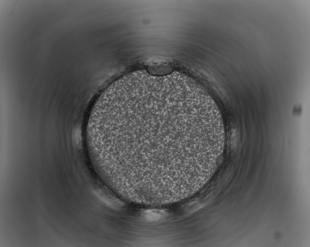 X0000100360508200807031841