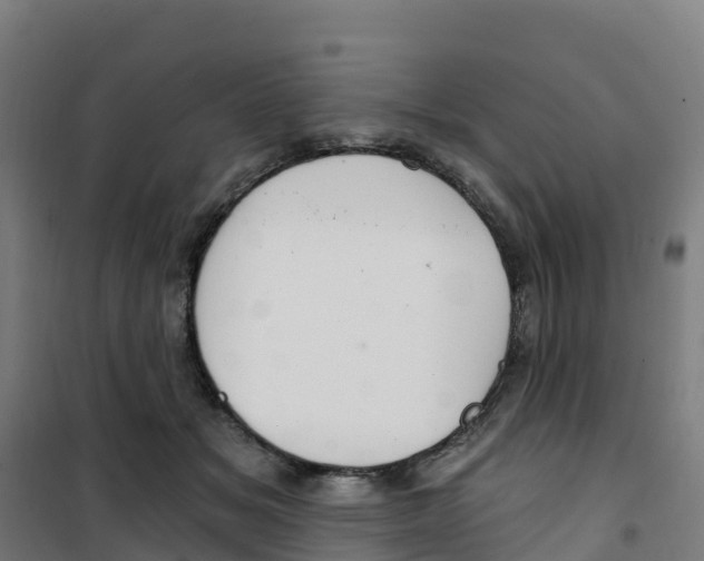 X0000100360509200807031841