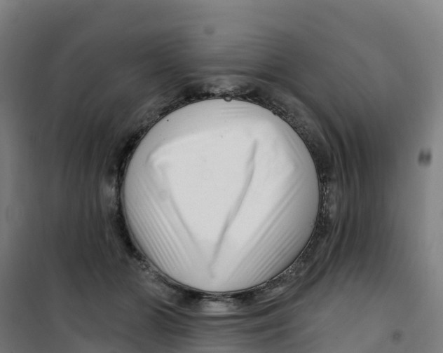 X0000100360510200807031841