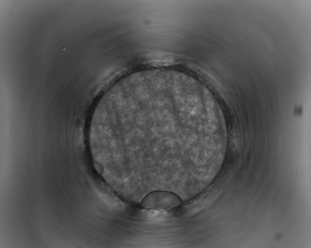 X0000100360512200807031841