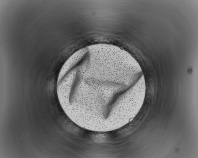 X0000100360513200807031841