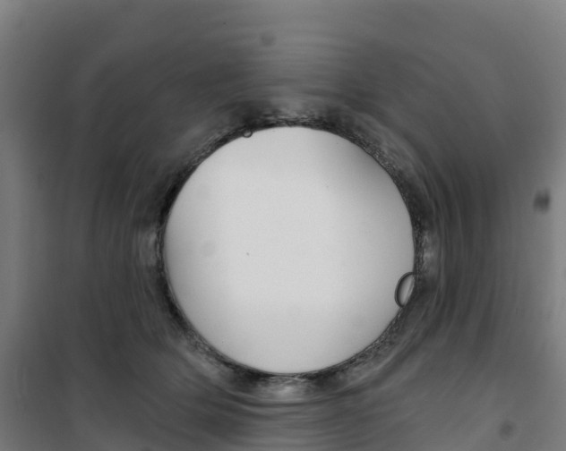 X0000100360514200807031841